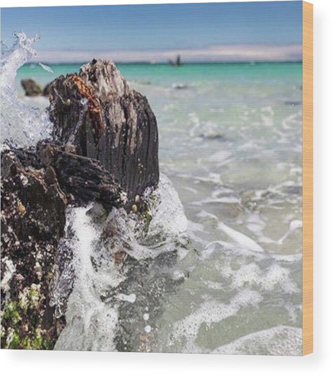 Instabeach Wood Print featuring the photograph ~ S P L A S H ~
.
the Elements In by Peta Smith