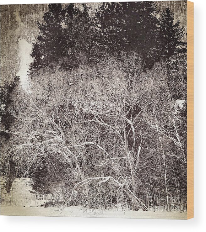  Wood Print featuring the photograph 0005 Pe 2 by Burney Lieberman