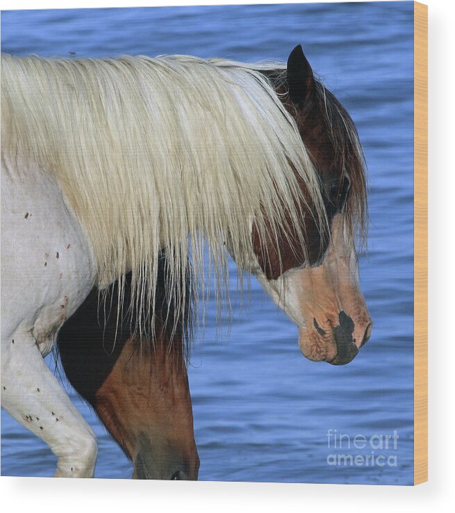 Horses Wood Print featuring the photograph 580a #1 by Timm Andrews