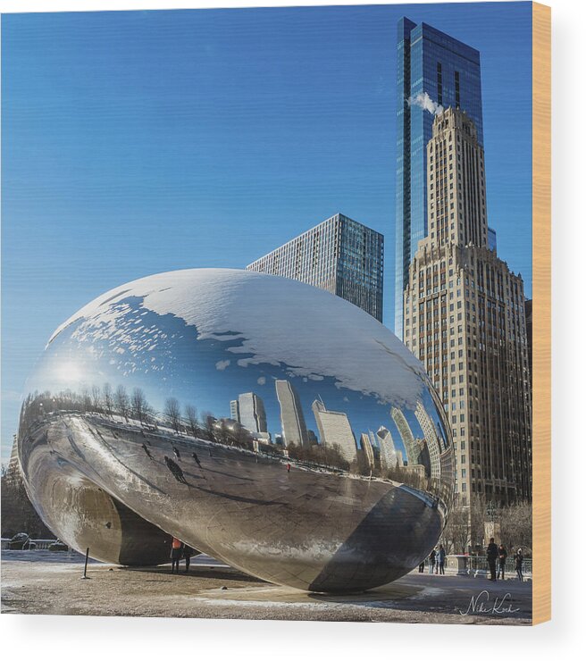 Usa Wood Print featuring the photograph Bean reflections #2 by Framing Places