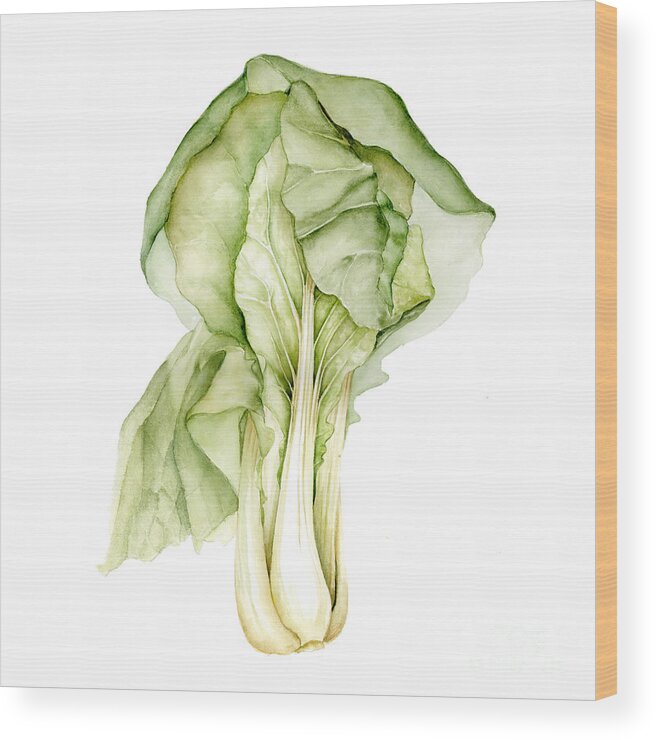 Farmers Market Wood Print featuring the painting Bok choy #1 by Fran Henig
