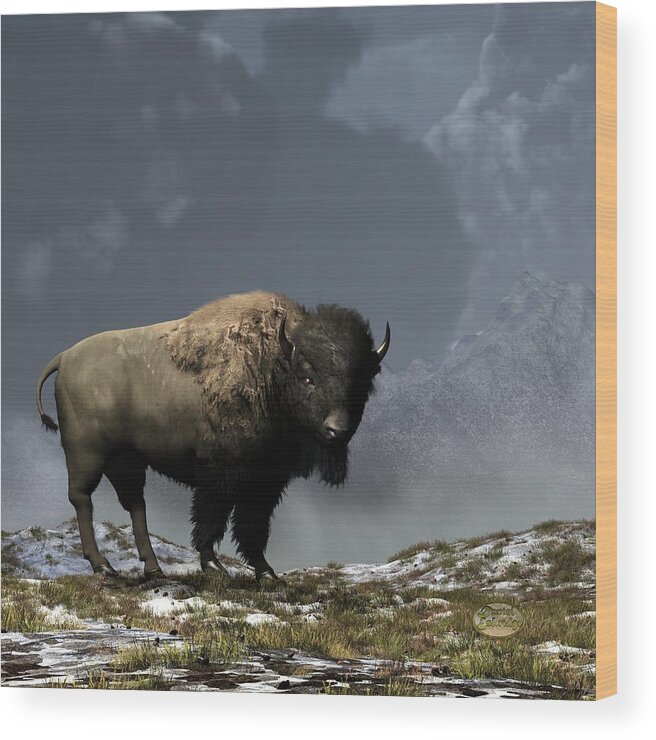 Bison Wood Print featuring the digital art Lonely Bison #1 by Daniel Eskridge
