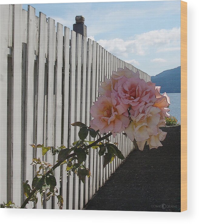 Rose Wood Print featuring the photograph Orcas Island Rose #1 by Tim Nyberg