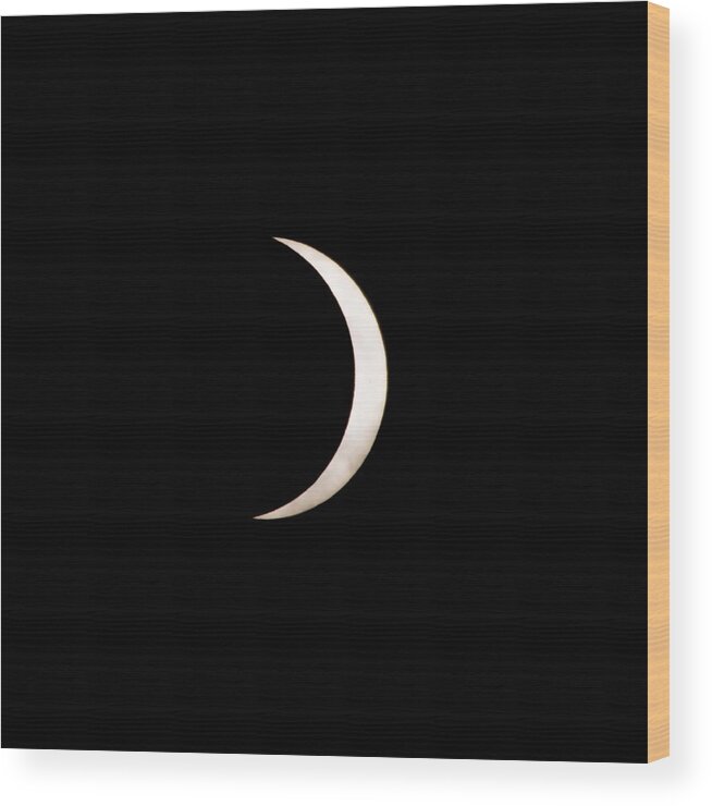 Astro Wood Print featuring the photograph Partial Soalr Eclipse Over South Carolina Usa #1 by Alex Grichenko