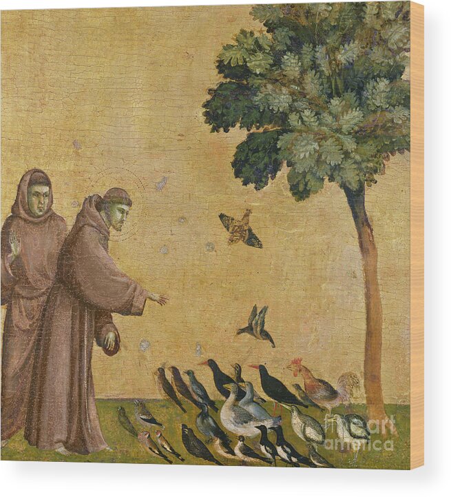 Francis Wood Print featuring the painting Saint Francis of Assisi preaching to the birds by Giotto di Bondone