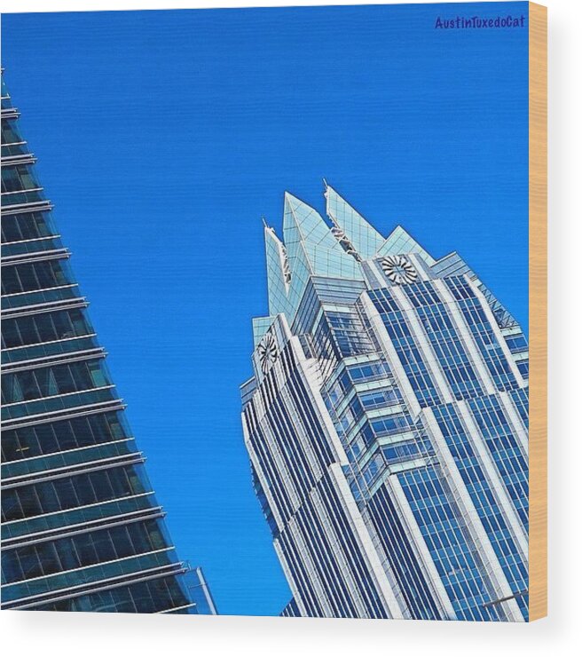 Skyscrapers Wood Print featuring the photograph Such A Perfect #bluesky Day In #1 by Austin Tuxedo Cat