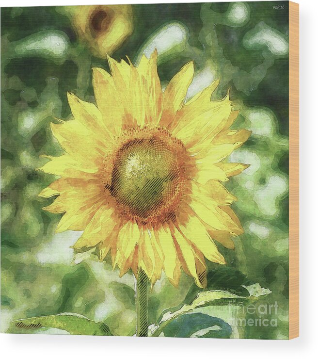 Sunflower Wood Print featuring the digital art Sunflower #1 by Phil Perkins