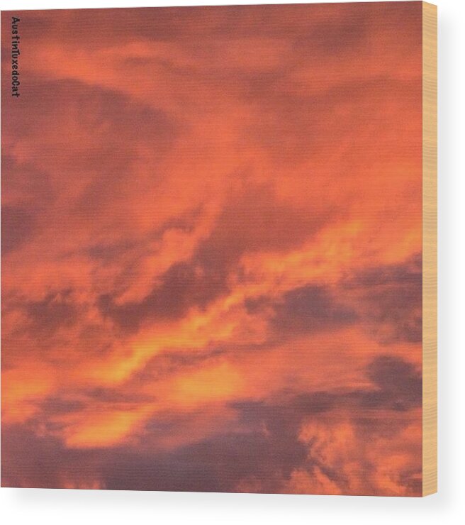 Sunrise_and_sunsets Wood Print featuring the photograph The #sky Has Been On #fire In #1 by Austin Tuxedo Cat