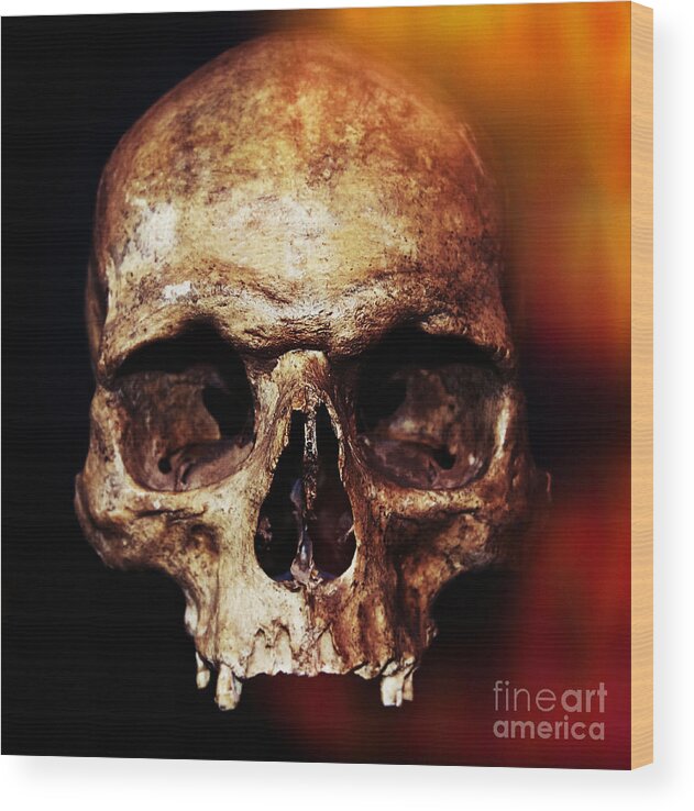 Halloween Wood Print featuring the photograph Skull by Iryna Liveoak