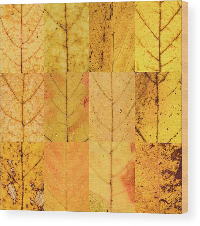 Swatch Wood Print featuring the photograph Swatches - Autumn Leaves inspired by Gerhard Richter #4 by Shankar Adiseshan