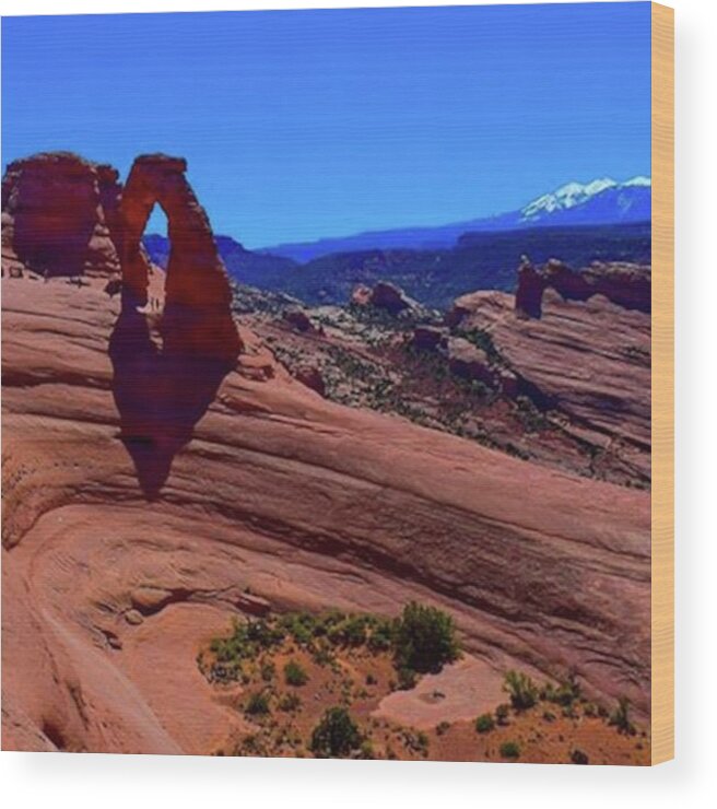 Delicatearch Wood Print featuring the photograph 2016
-
-
delicate Arch
-
arches by Mel Porter