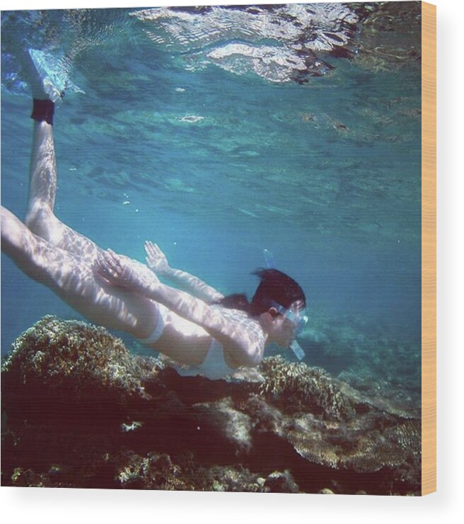 Scubadiving Wood Print featuring the photograph #ダイバー に #人気 #3 by Atsushi Fujiwara