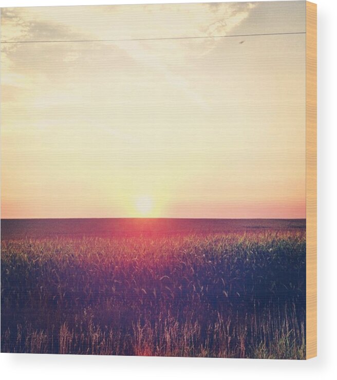 Midwest Wood Print featuring the photograph Midwest sunset by Britni Hemmer