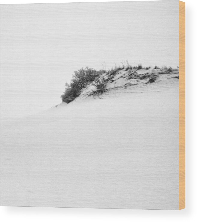 Provincetown Wood Print featuring the photograph #provincetown #4 by Ben Berry