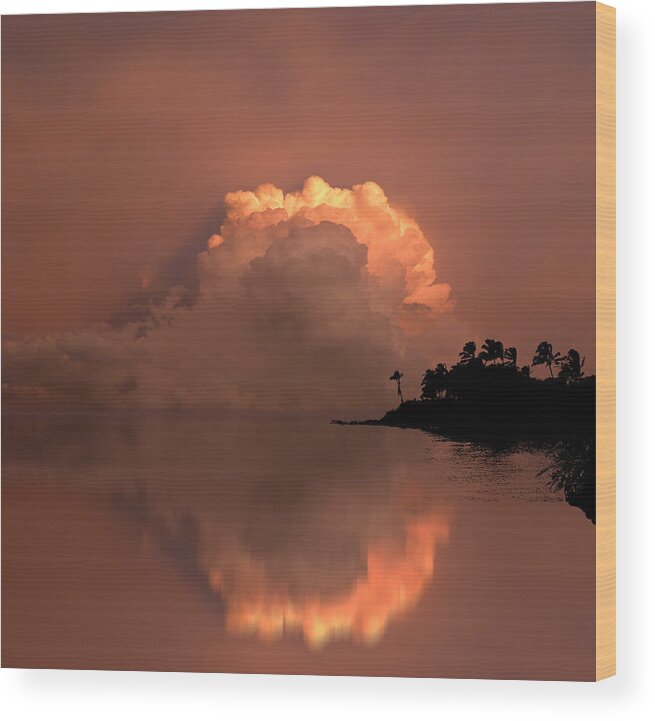 Landscape Wood Print featuring the photograph 4186 by Peter Holme III