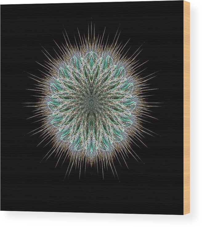 Cactus Wood Print featuring the photograph 4418 by Peter Holme III
