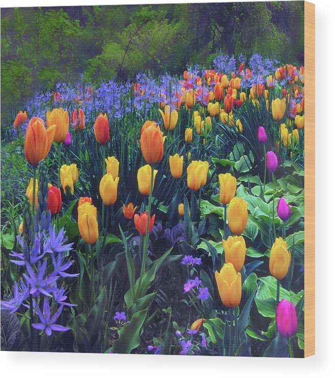 Tulips Wood Print featuring the photograph Procession of Tulips by Jessica Jenney