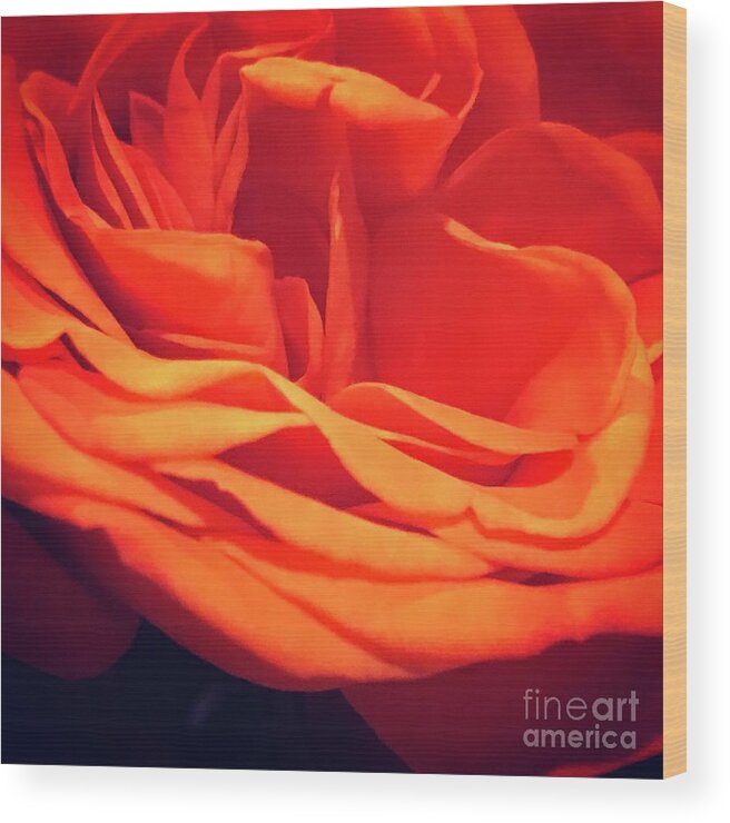 Orange Wood Print featuring the photograph Flower by Deena Withycombe