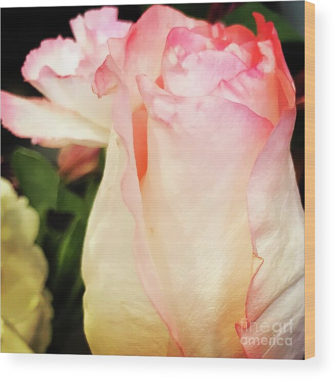 Pink Wood Print featuring the photograph Rose by Deena Withycombe