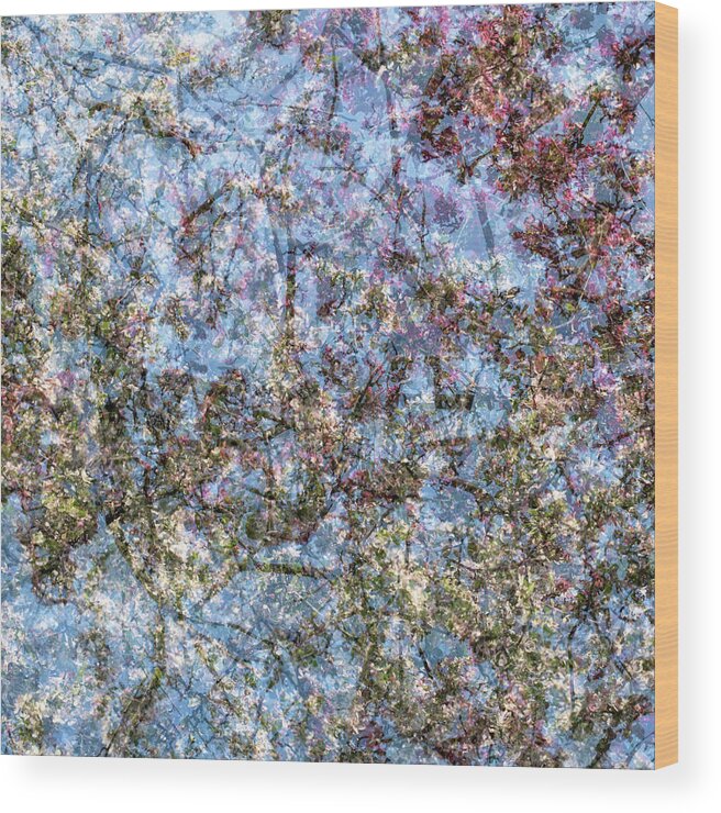 Spring Wood Print featuring the photograph Spring Season - Inspired by Jackson Pollock #8 by Shankar Adiseshan