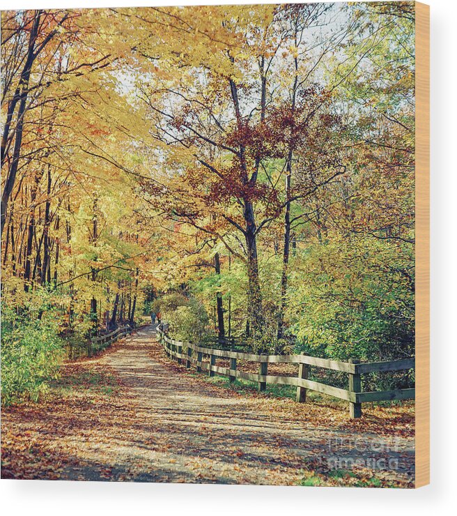 Cleveland Wood Print featuring the photograph A colorful walk by Paul Quinn
