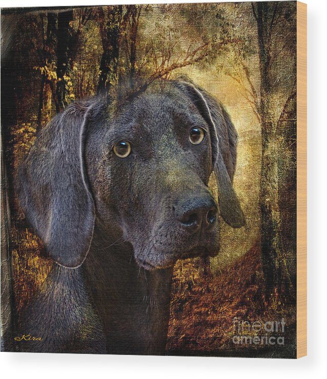 Dog Wood Print featuring the photograph A Dogs Tale by Kira Bodensted