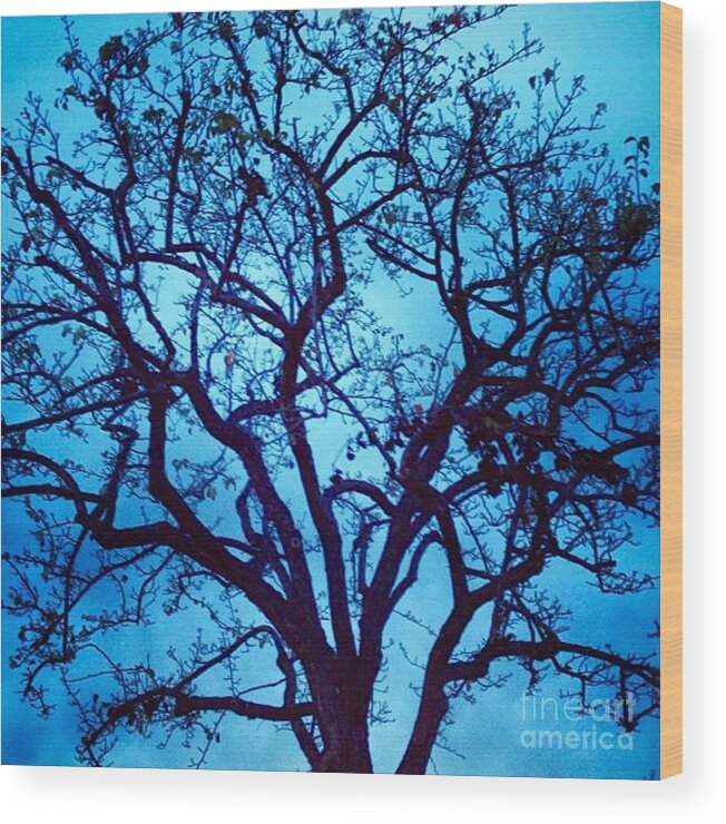Tree Wood Print featuring the photograph A Moody Broad by Denise Railey