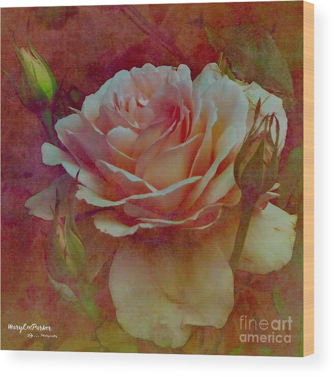 Flower Wood Print featuring the mixed media A Rose by MaryLee Parker