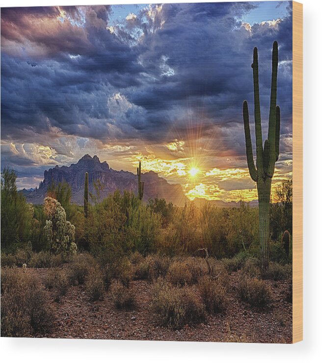 Sunrise Wood Print featuring the photograph A Sonoran Desert Sunrise - Square by Saija Lehtonen