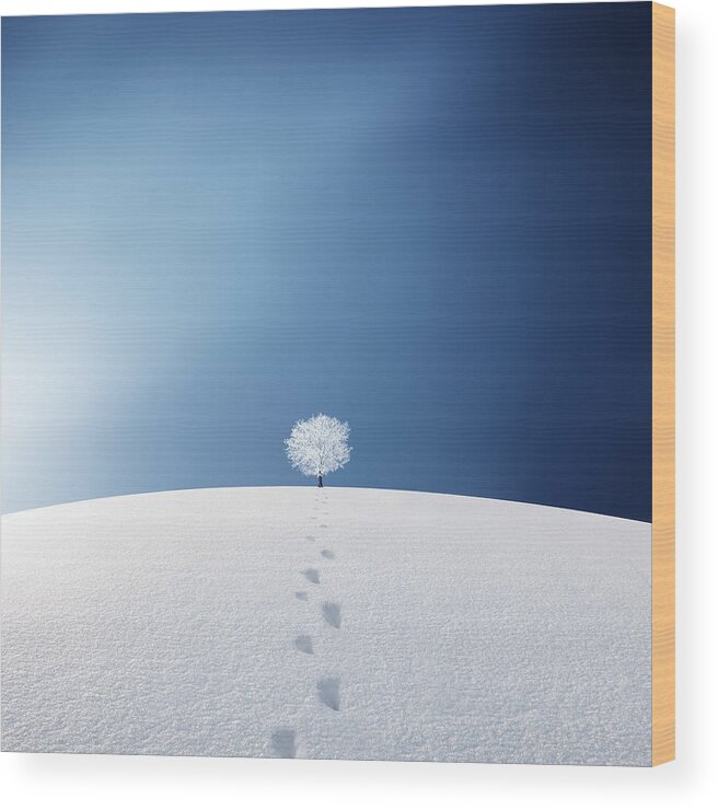 Landscape Wood Print featuring the photograph A tree in the field by Bess Hamiti