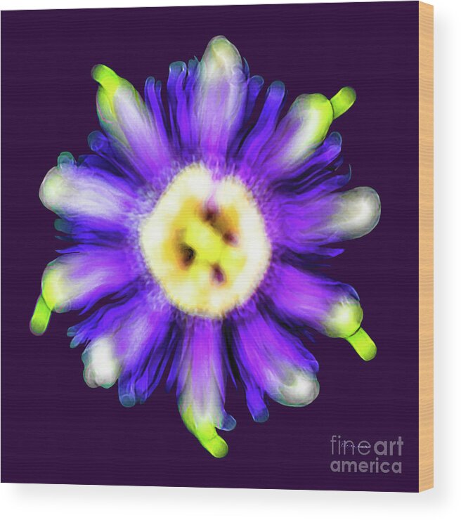Abstract Wood Print featuring the photograph Abstract Passion Flower in Violet Blue and Green 002p by Ricardos Creations