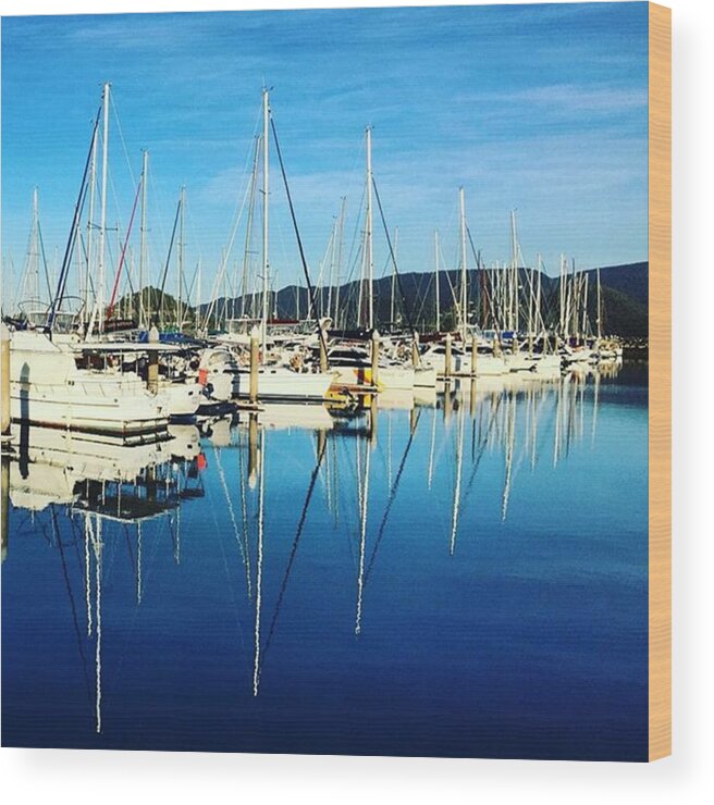Australia Wood Print featuring the photograph Airlie Beach 2015
early Morning by Paul Dal Sasso