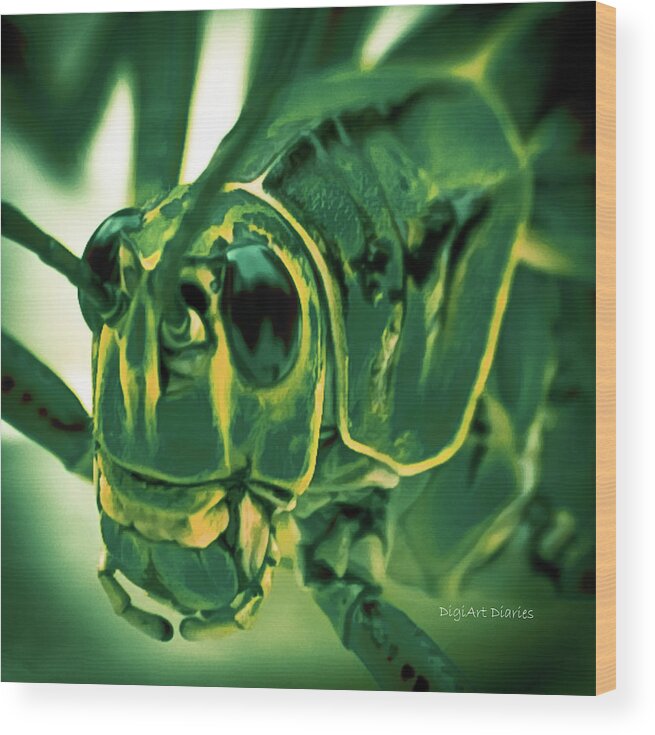 Grasshopper Wood Print featuring the photograph Alien by DigiArt Diaries by Vicky B Fuller