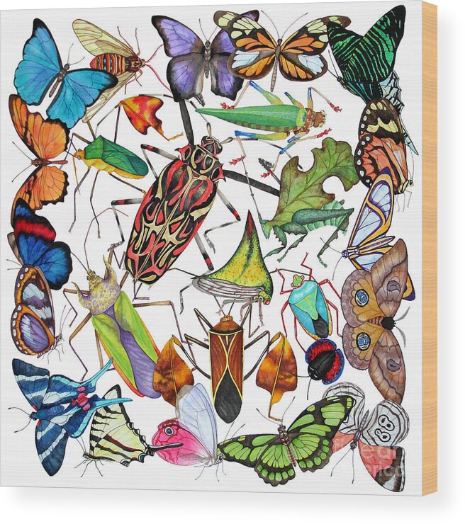 Insects Wood Print featuring the painting Amazon Insects by Lucy Arnold