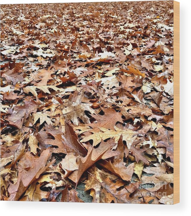 Leaves Wood Print featuring the photograph Autumn Blanket by Onedayoneimage Photography