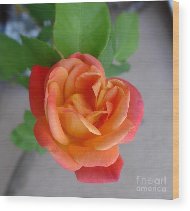 Sedona Wood Print featuring the photograph Autumn Sedona HEART Rose by Mars Besso