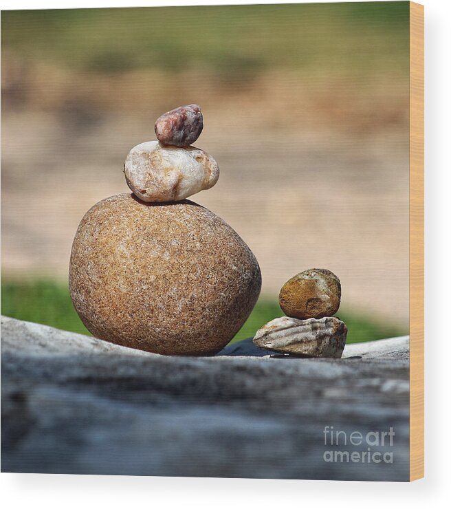 Stone Wood Print featuring the photograph Balance and Measures by Ella Kaye Dickey