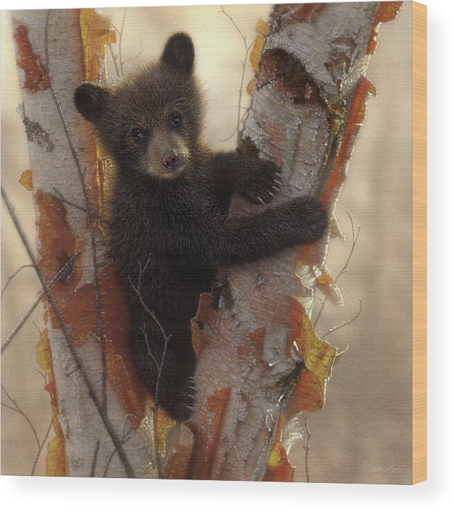 Bear Painting Wood Print featuring the painting Black Bear Cub - Curious Cub by Collin Bogle