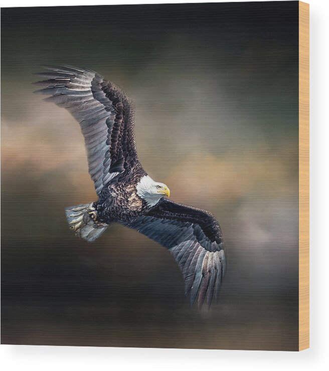 Bald Eagle Wood Print featuring the photograph Bald Eagle With Clouds by Paul Freidlund
