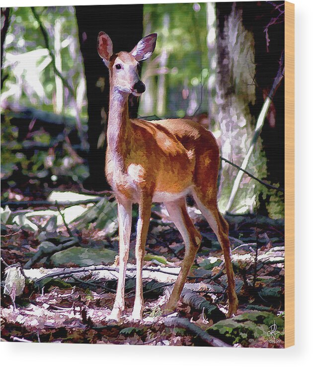 Deer Wood Print featuring the photograph Bambi by Pennie McCracken