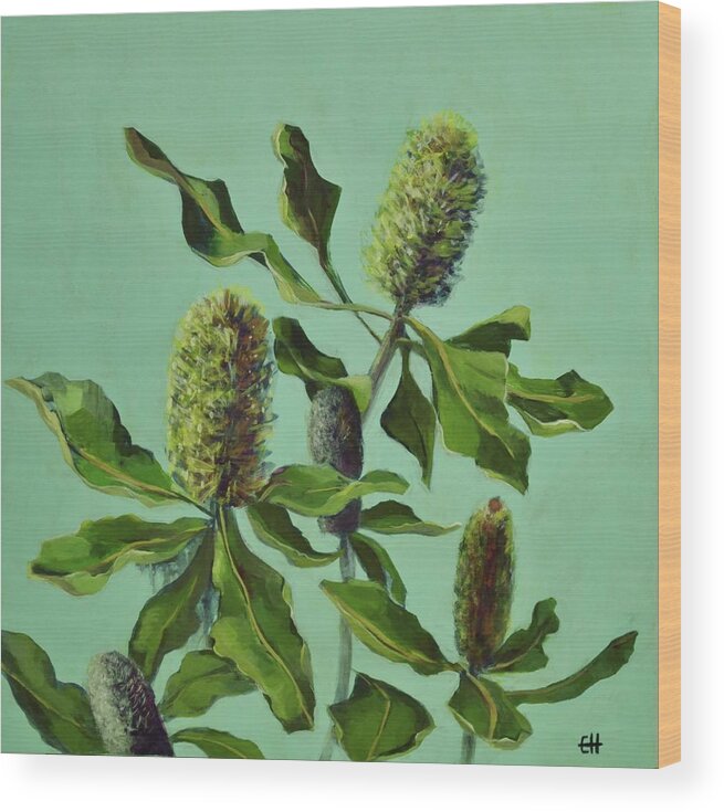 Australian Flora Wood Print featuring the painting Banksias Australian Flora Painting by Chris Hobel