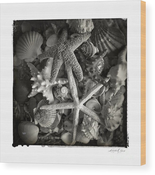 Shell Wood Print featuring the photograph Basket of shells by Linda Olsen