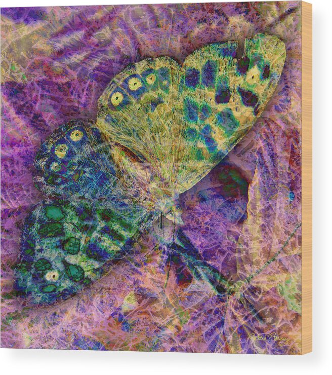 Butterfly Wood Print featuring the digital art Batik Butterfly by Barbara Berney