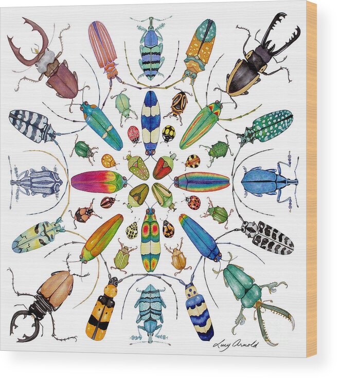 Insects Wood Print featuring the painting Beautiful Beetles by Lucy Arnold