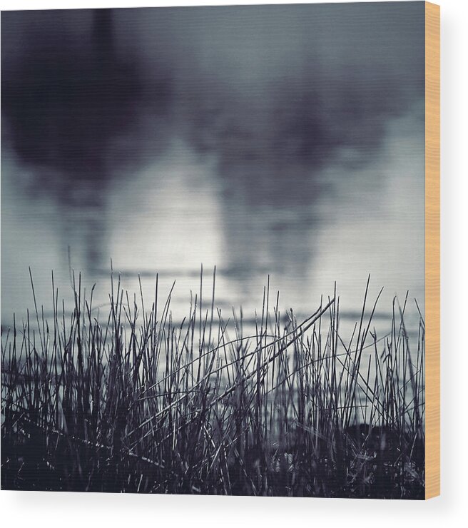 Abstract Wood Print featuring the photograph Between the Waters by Trish Mistric