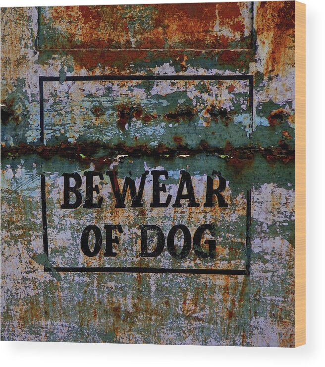 India Wood Print featuring the photograph Bewear of Dog by Misentropy