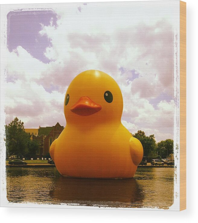 Big Rubber Duck Wood Print featuring the photograph Big Rubber Ducky by Will Felix