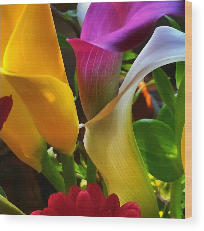 Birthday Wood Print featuring the photograph Birthday Flowers by Anne Thurston