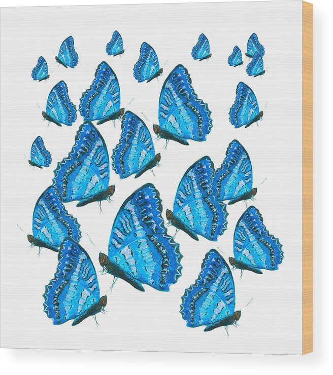 Butterflies Wood Print featuring the painting Blue Butterflies by Jan Matson