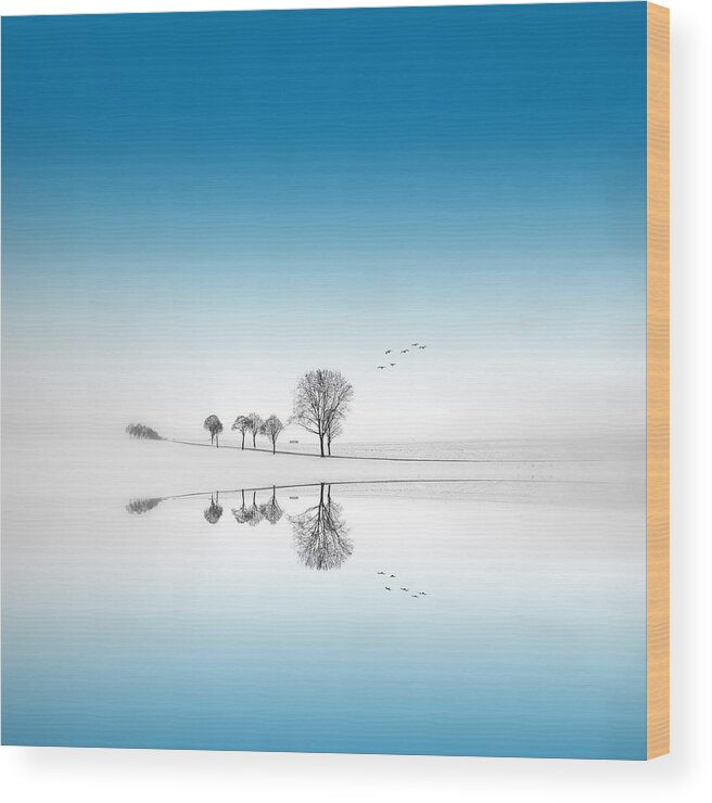 Landscape Wood Print featuring the photograph Blue Season by Philippe Sainte-Laudy
